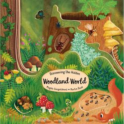Discovering The Hidden Woodland World Board Book