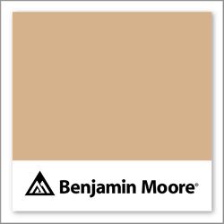 Benjamin Moore Natural Leather CSP-1065