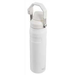 Stanley IceFlow Fast Flow 24 oz Frost BPA Free Bottle with Straw Cap