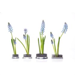 Chive Kenzan 1 in. H X 2 in. L Silver Metal Floral Frog