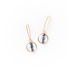 Matr Boomie Shamani Semi-Precious Sodalite Women's Drop Hoop Blue/Gold Earrings