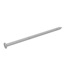 Grip-Rite 60D 6 in. Common Hot-Dipped Galvanized Steel Nail Flat Head 50 lb