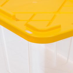 Clear/Yellow