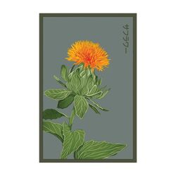 Chive Shido Seed Co. Safflower Seeds 1 pk