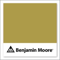 Benjamin Moore Savannah Moss 385