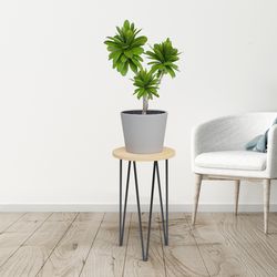 Panacea 16 in. H Black Steel/Wood Plant Stand