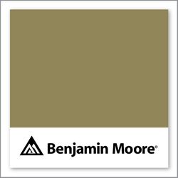 Benjamin Moore Savannah Shade 525