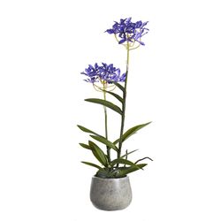 DW Silks 21 in. H X 8 in. L Polyester Purple Epidendrum Orchids in Stone Planter