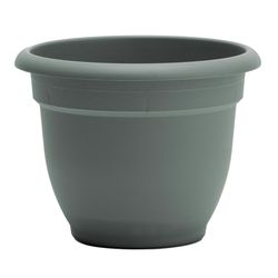 Bloem Ariana 5.25 in. H X 6.5 in. W X 6 in. D Plastic Traditional Planter Basil