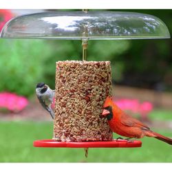 Birds Choice Bird Seed 2.5 lb