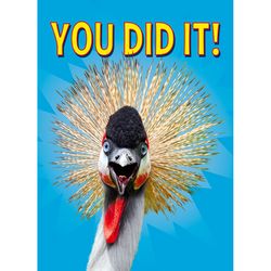 Avanti Press Seasonal You Did It Grad Bird Graduation Card Paper 2 pc