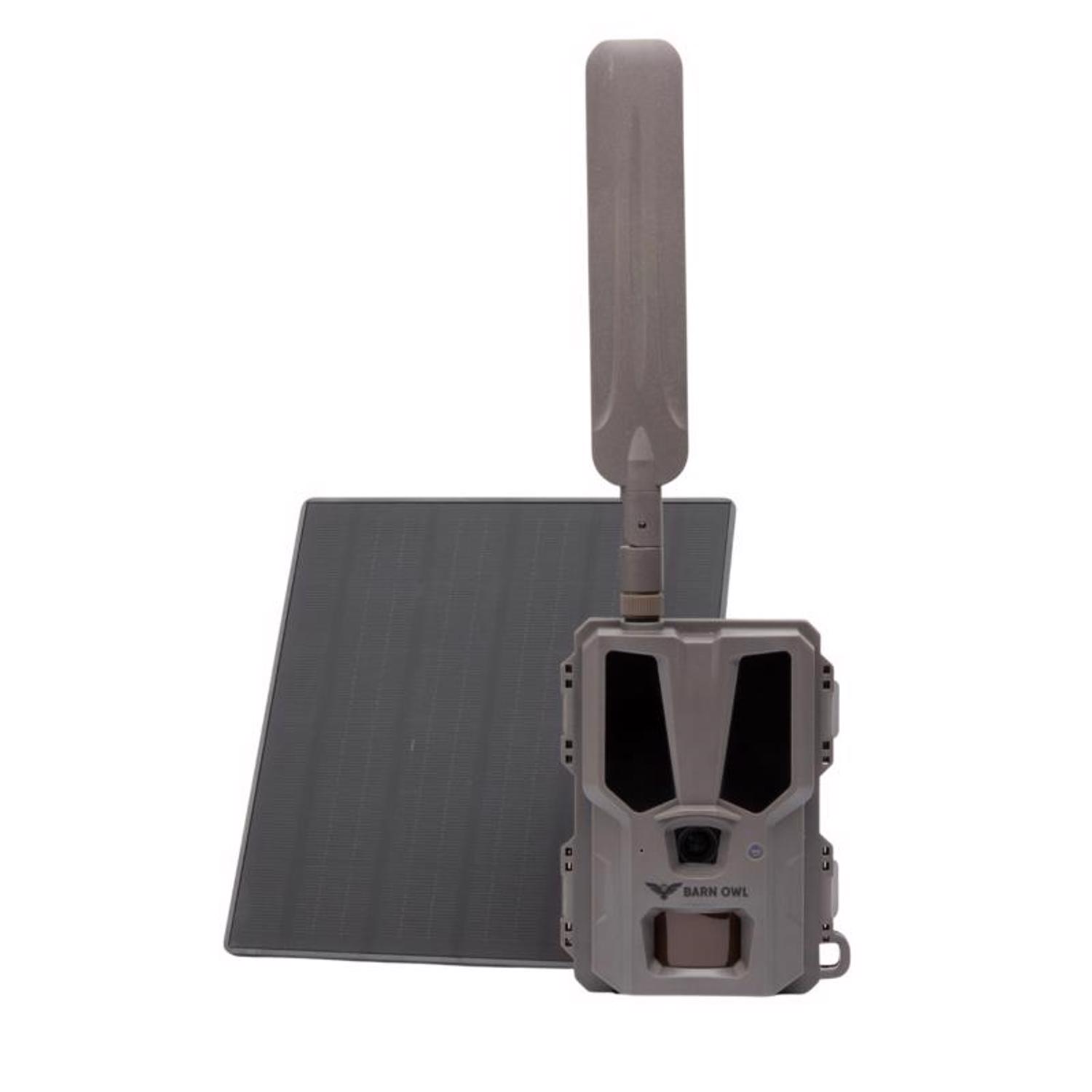 image-1