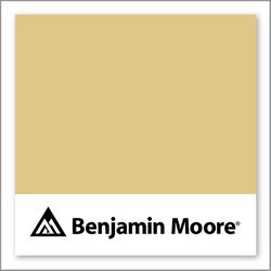 Benjamin Moore Da Vinci'S Canvas 208