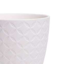 Chive Virago 3.3 in. D Ceramic Shape B Succulent Pot White