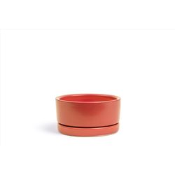 Momma Pots 8.5 in. W Porcelain Low Planter Rust