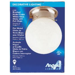 Westinghouse 11.81 in. H X 6 in. W X 6.5 in. L Ceiling Light