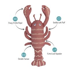 Pet Shop by Fringe Studio Petshop For Dog Red Canvas Lobster Dog Toy 1 pk