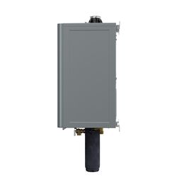 Reliance Water Heaters 0 gal 199000 BTU Natural Gas/Propane Tankless Water Heater