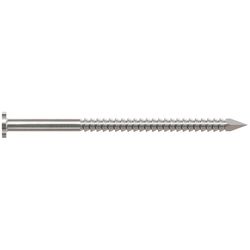 Simpson Strong-Tie 8D 2-1/2 in. Common Stainless Steel Nail Round Head 1 lb
