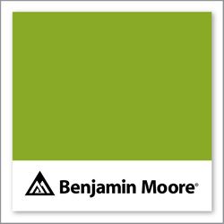 Benjamin Moore Douglas Fir 2028-20
