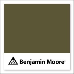 Benjamin Moore Jungle Canopy CSP-900