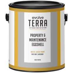 Evolve Terra Eggshell White Interior Latex Wall Paint Interior 1 gal