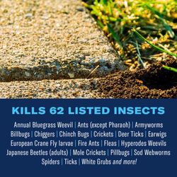 BioAdvanced Complete Insect Killer for Soil & Turf Concentrate 40 oz