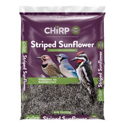 Chirp Straight Seeds Striped Sunflower Bird Seed 10 lb