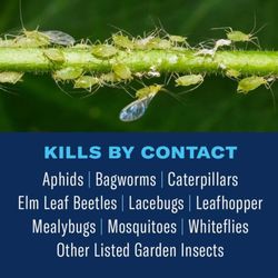 BioAdvanced Tree & Shrub Insect Killler Spray 32 oz