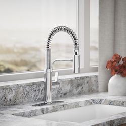 Kohler Kankone One Handle Polished Chrome Pull-Down Kitchen Faucet