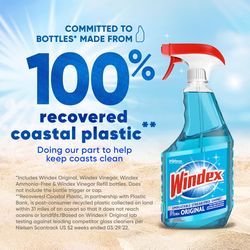 Windex Original No Scent Commercial Window Cleaner 32 oz Liquid