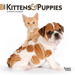 BrownTrout Publishers 2026 Mini 7X7 .1 in. H X 7 in. L Multicolored Paper Kittens and Puppies Calend