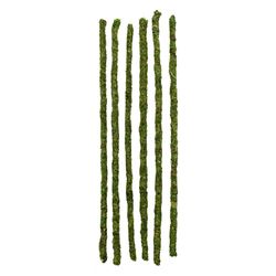 SuperMoss Moss 24 in. H Green Moss Plant Support