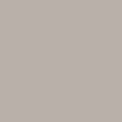 Samplize Benjamin Moore Silver Fox Peel & Stick Color Sample 2108-50