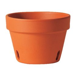 Deroma 5.8 in. H X 8.3 in. W X 8.3 in. D X 8.3 in. D Clay Orchid Pot Terracotta
