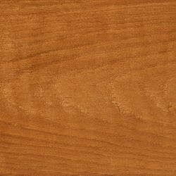 Cedar