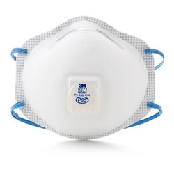 3M P95 Disposable Particulate Respirator White 10 pc