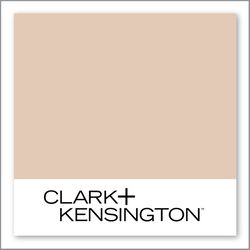 Clark+Kensington Vanilla Chai N-W9