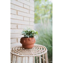 Matr Boomie 3.5 in. H X 4.5 in. W X 4.5 in. D Clay Mushroom Planter Terracotta