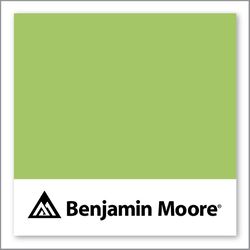 Benjamin Moore Springhill Green 412