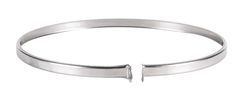 Selkirk 6 in. Stainless Steel Locking Band