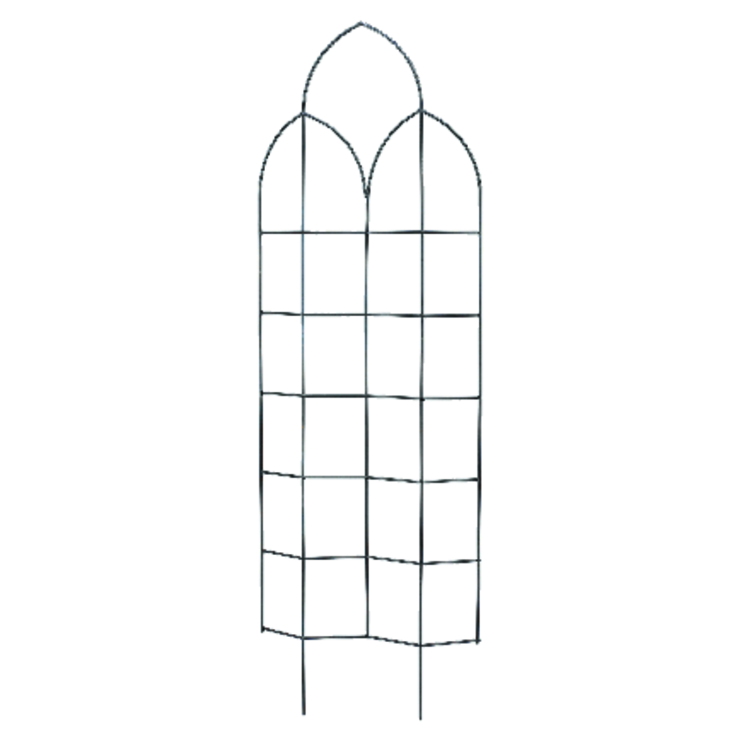 image-1