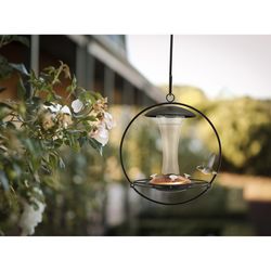 Panacea Hummingbird 16 oz Glass/Metal Floating Sphere Nectar Bird Feeder 4 ports