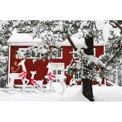 Celebrations LED Warm White Reindeer 34.5 in. Yard Decor