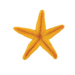Safari Ltd. Wild Safari Starfish Toy Orange