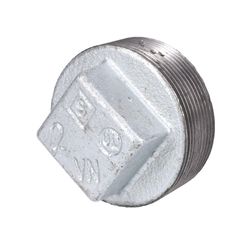 STZ Industries 2 in. MIP each Galvanized Malleable Iron Plug