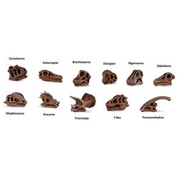 Safari Ltd. Toobs Dinosaur Skulls Toy 11 pc