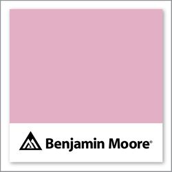 Benjamin Moore Wild Heart 1354