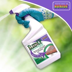 Bonide KleenUp Weed and Grass Killer RTU Liquid 32 oz