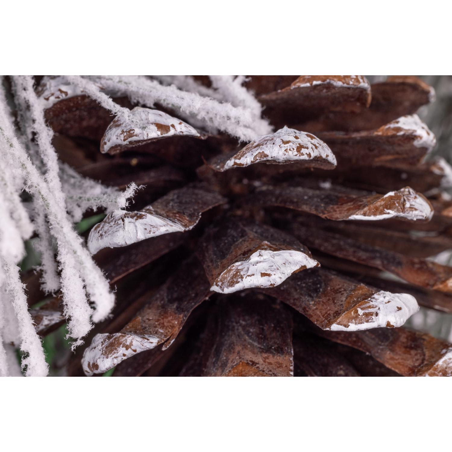 image-4